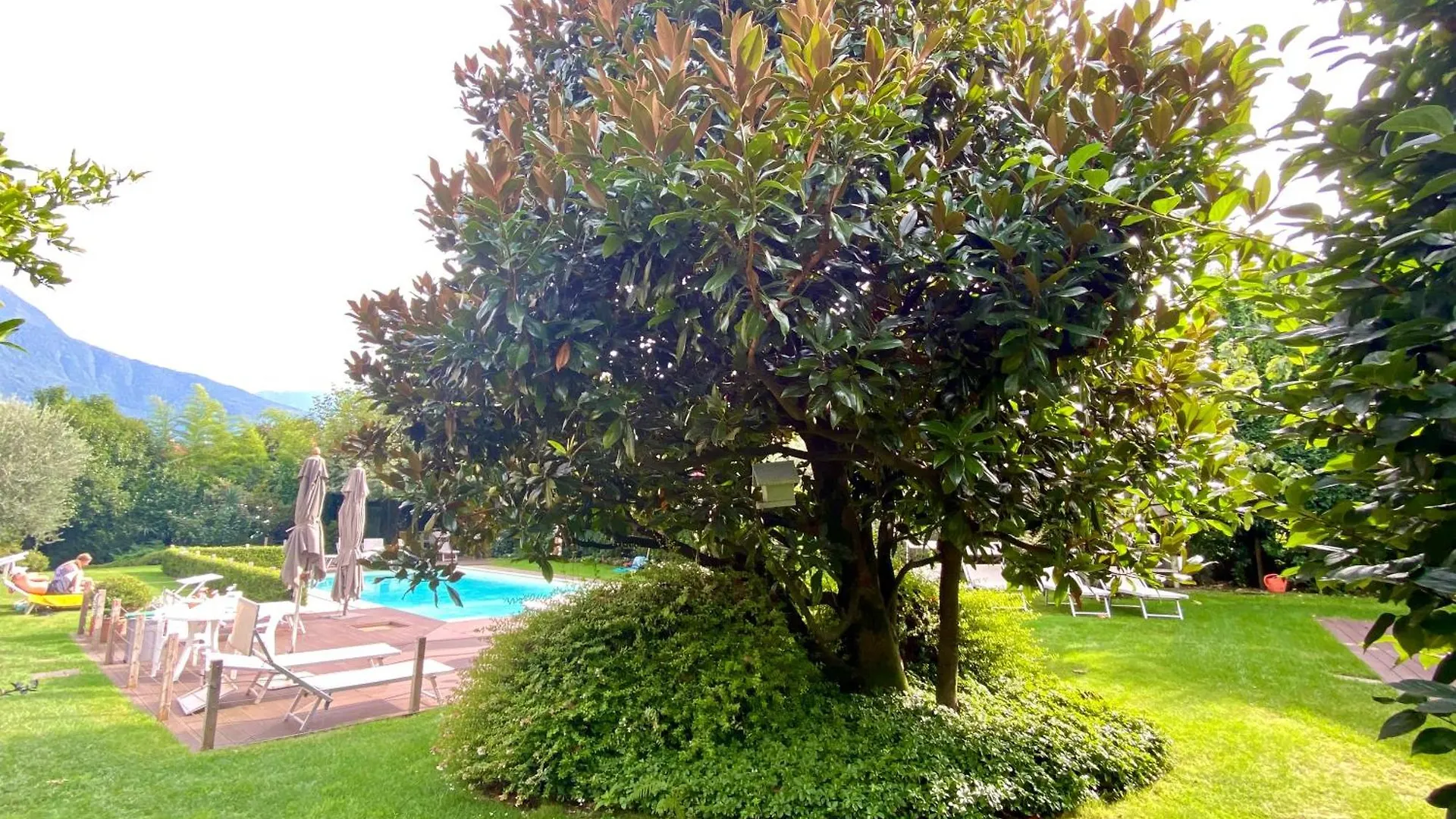 Ibiscus Lago Di Como Dongo 0*,