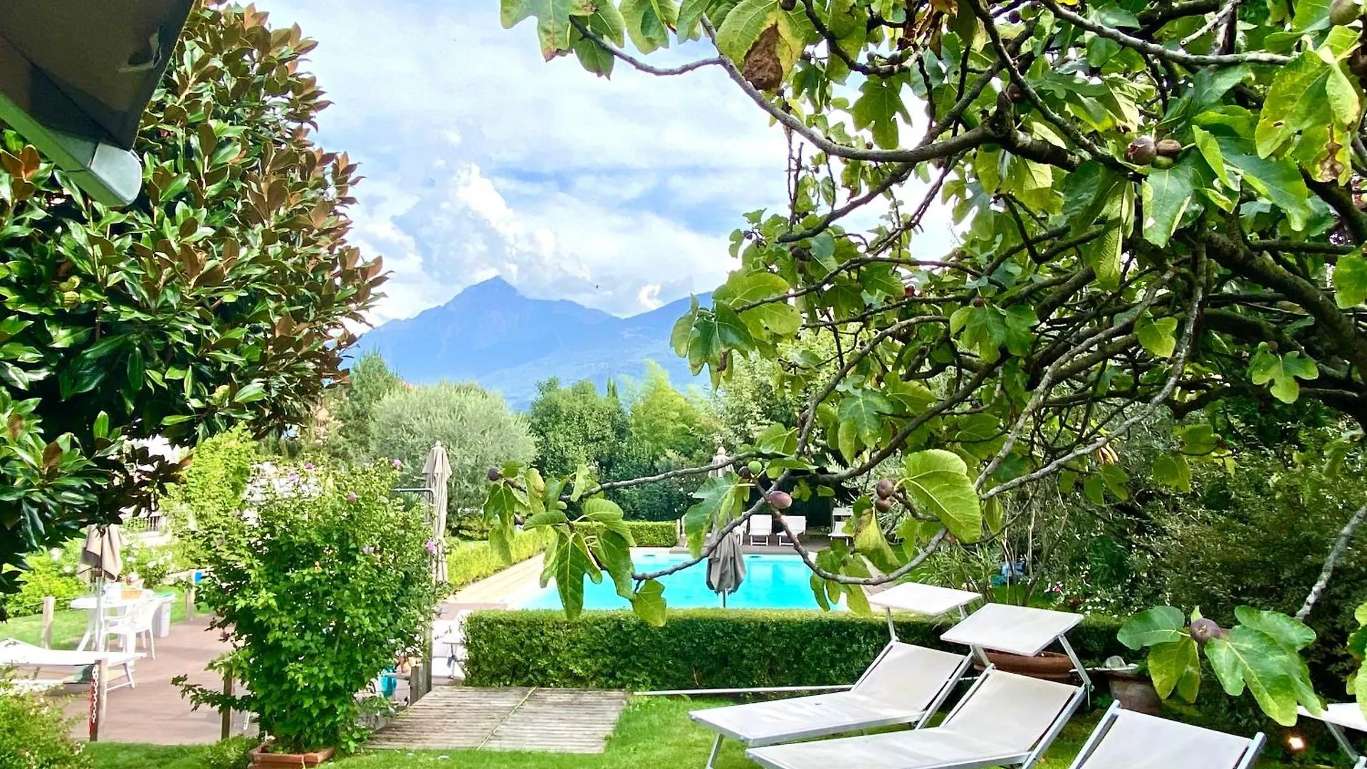 Ibiscus Lago Di Como Dongo